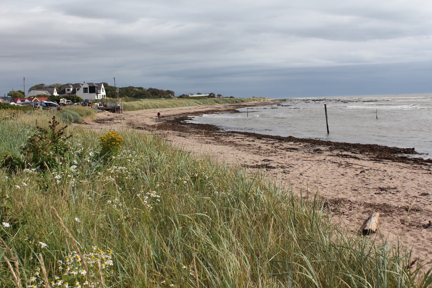 View from outside the cottage