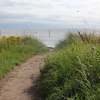 small path down to the beach<br/><a href="gallery/rebecca-cottage/18/add/#comments">Add comment</a>