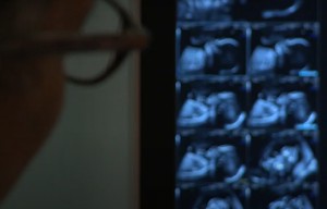 Consultant at UCLH looking at scans of pregnant female